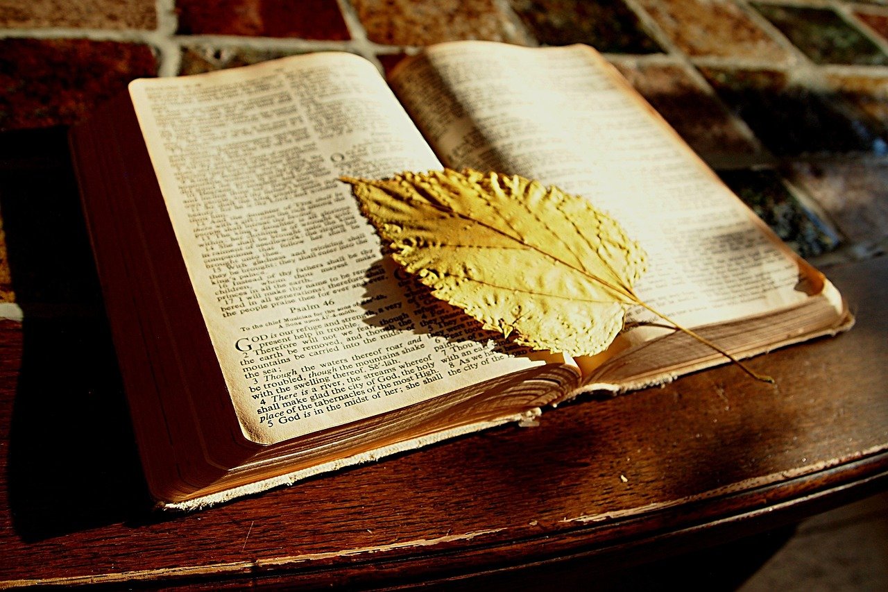 bible, bible study, read, book, bookmark, faith, christian, table, bible, bible, bible, bible, bible, bible study