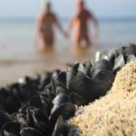 It Was Never Just a Rib: The Hidden Glory of Eve’s Design | Return to Eden Journey