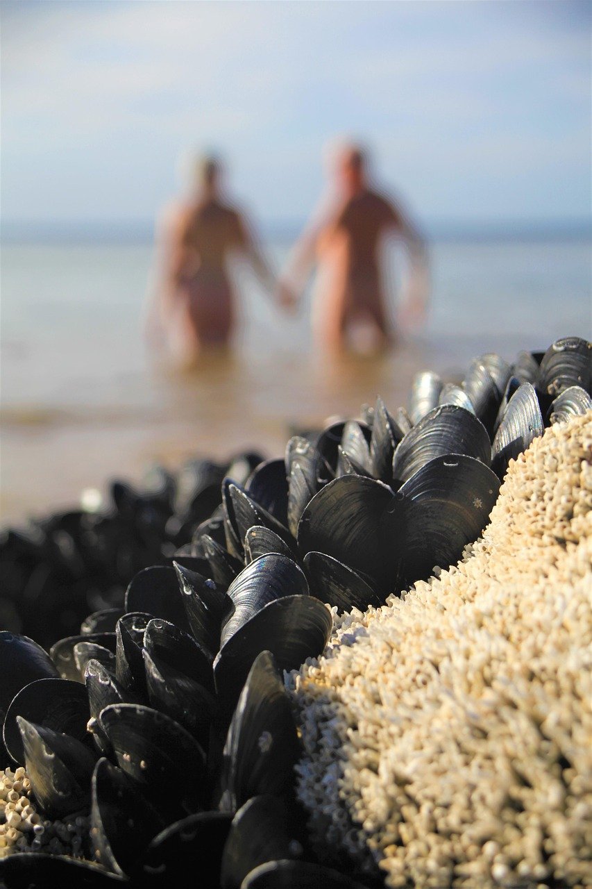 Read more about the article It Was Never Just a Rib: The Hidden Glory of Eve’s Design | Return to Eden Journey