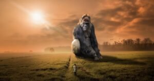 animal, gorilla, ape, primate, herbivore, silver back, sunset, dusk, evening, dawn, landscape, grass, nature, outdoors, people, sunlight, sunrise, dream, huge, gigantic, mysterious, kingkong, brown nature, brown animals, brown landscape, brown sunset, brown sunrise, brown grass, brown dream, brown natural, gorilla, gorilla, gorilla, gorilla, gorilla, dream