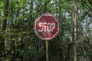 An old and rusty stop sign in a wooded area, surrounded by lush trees.