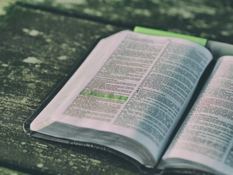 bible, book, open, open bible, open book, pages, chapters, bible reading, bible study, scriptures, bible scriptures, knowledge, literature, paper, print, study, bible, bible, bible, bible, bible